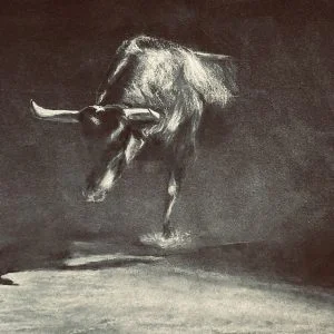 Running Bull A4 PRINT